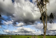 开云体育官方网站-热刺轻取葡萄牙2:0，梅西乌龙送礼西甲