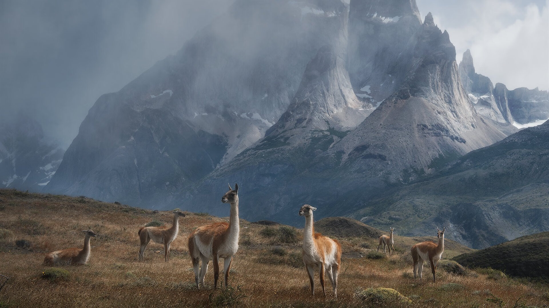 卡瓦哈尔关键制胜，雷恩压哨击败曼联，一场改写历史的欧冠之夜