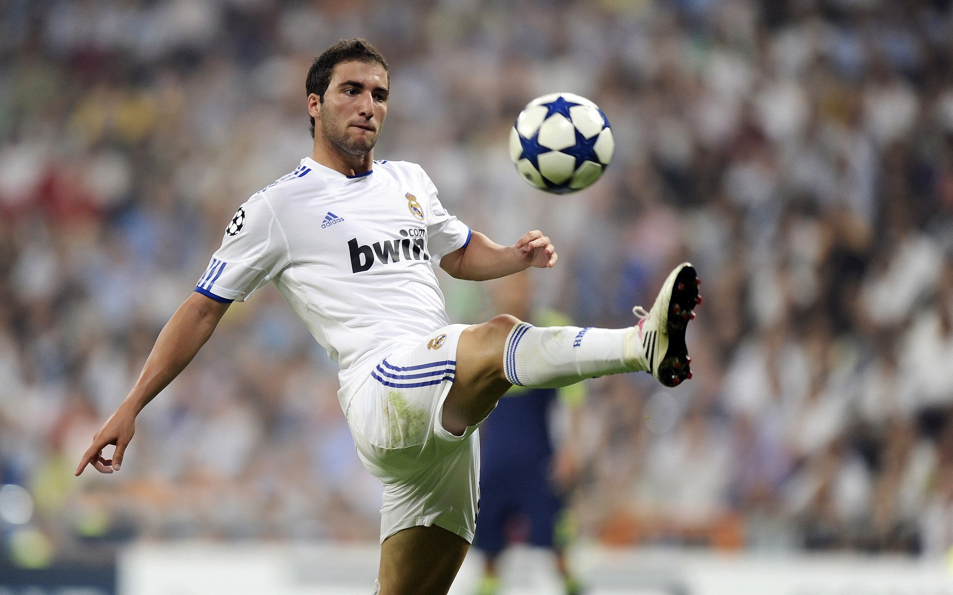 开云体育中国-战术革命与意志胜利，罗德里爆发引领新西兰连续得分压制巴西的启示